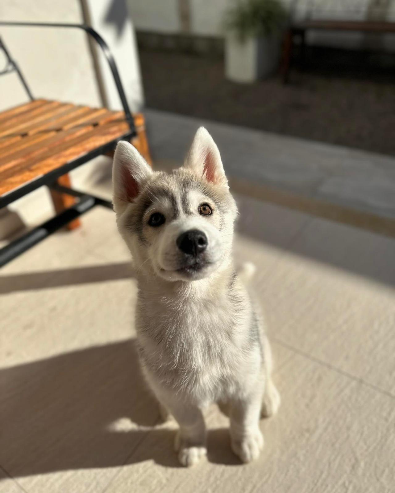 WhatsApp Image 2025-02-06 at 8.08.09 AM